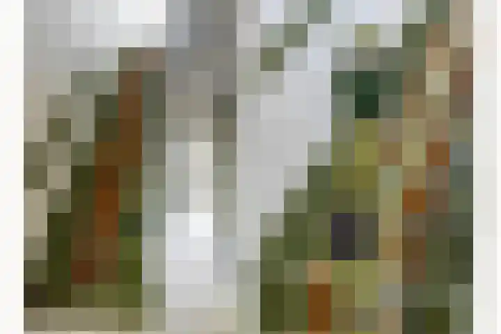 Koninginneweg 34 Haarlem thumbnail 20