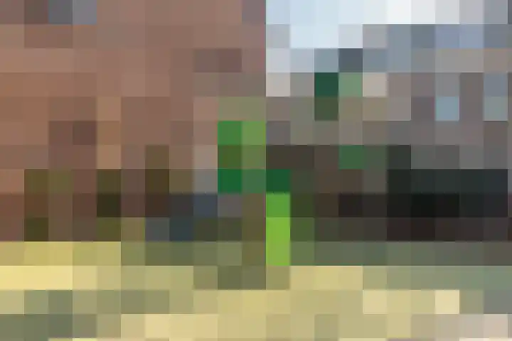 Koninginneweg 34 Haarlem thumbnail 38