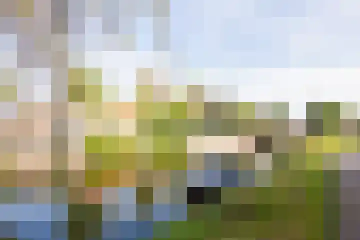 Koninginneweg 34 Haarlem thumbnail 39