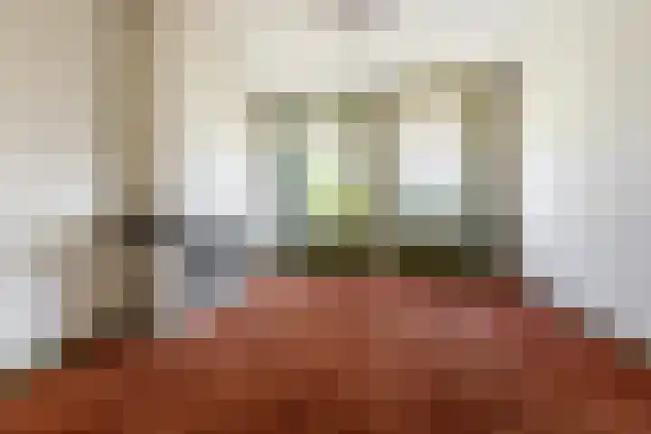 Koninginneweg 34 Haarlem thumbnail 7