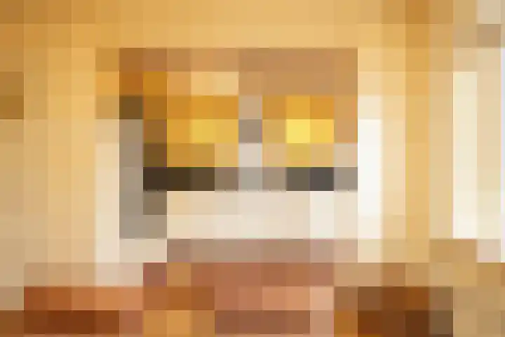 Koninginneweg 37 Noordwijkerhout thumbnail 11