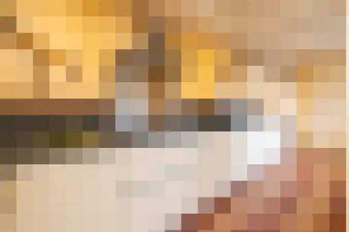 Koninginneweg 37 Noordwijkerhout thumbnail 12