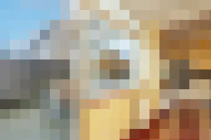 Koninginneweg 37 Noordwijkerhout thumbnail 15