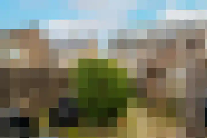 Koninginneweg 37 Noordwijkerhout thumbnail 34