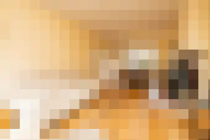 Koninginneweg 37 Noordwijkerhout thumbnail 4