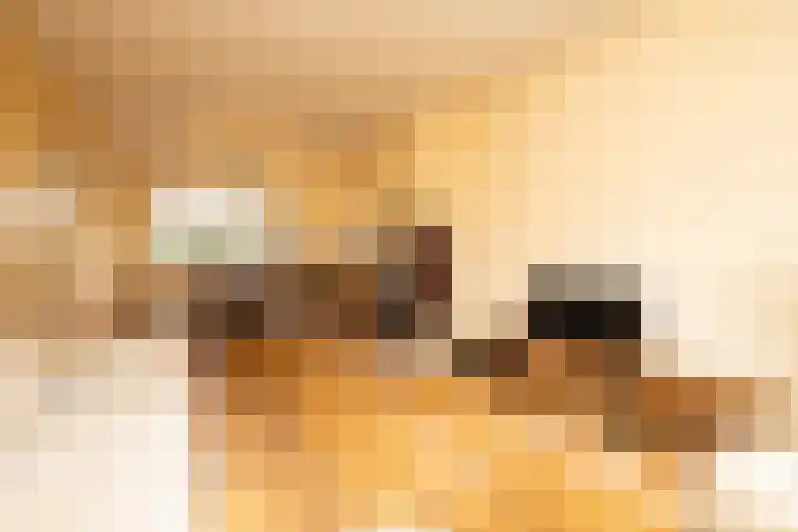 Koninginneweg 37 Noordwijkerhout thumbnail 5