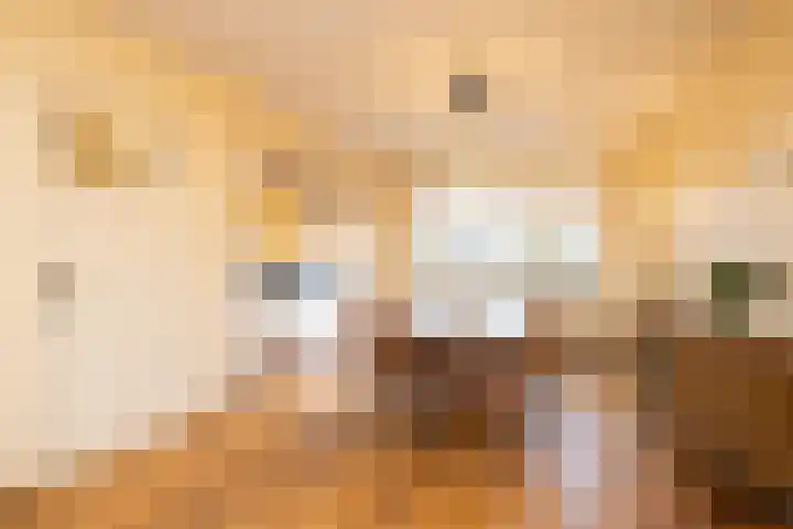 Koninginneweg 37 Noordwijkerhout thumbnail 7
