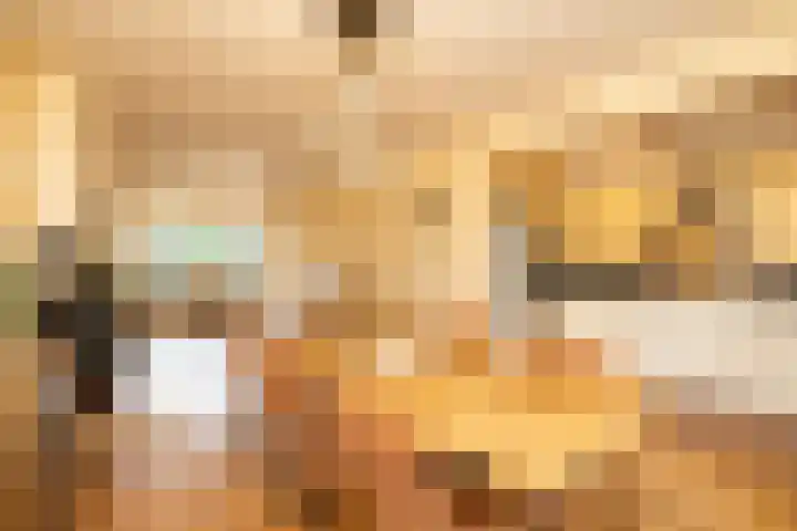 Koninginneweg 37 Noordwijkerhout thumbnail 9