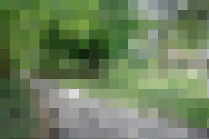 Koninginneweg 38 a Lekkerkerk thumbnail 17