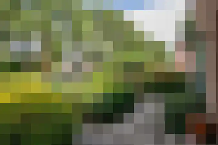 Koninginneweg 38 a Lekkerkerk thumbnail 7