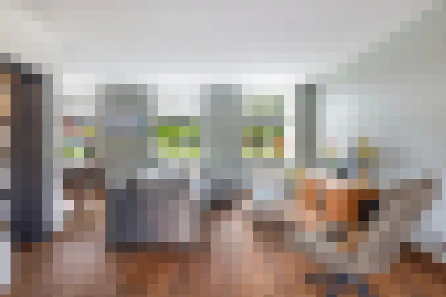 Koninginneweg 4 Numansdorp thumbnail 12