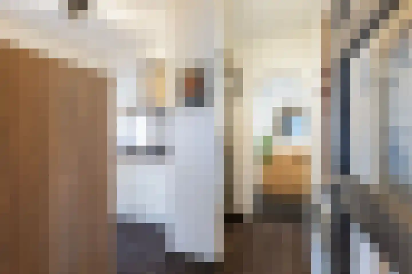 Koninginneweg 4 Numansdorp thumbnail 23