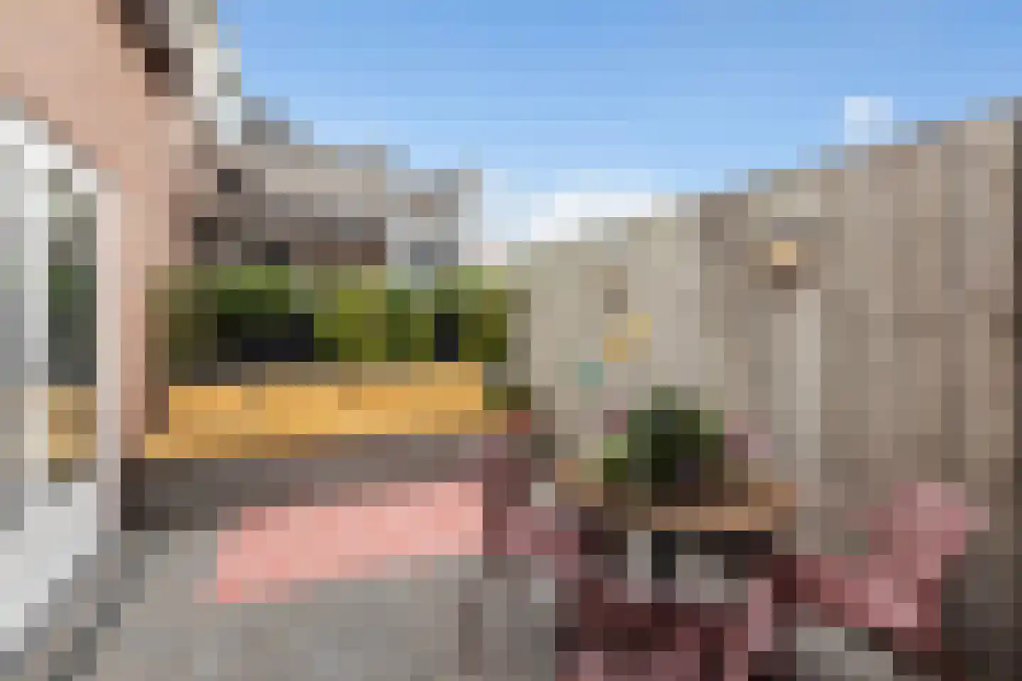 Koninginneweg 4 Numansdorp thumbnail 29