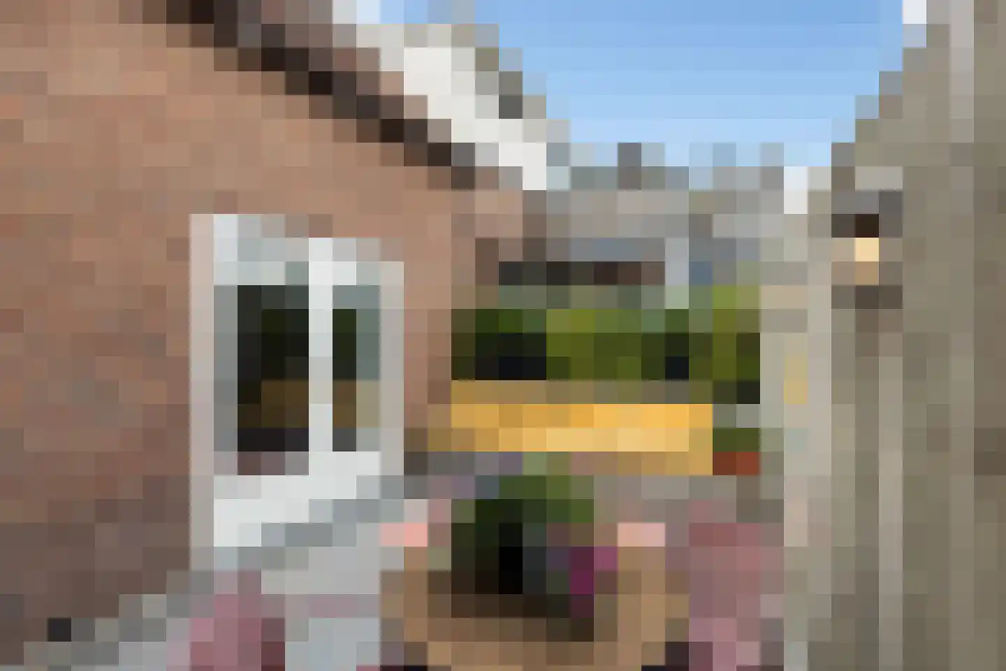 Koninginneweg 4 Numansdorp thumbnail 30