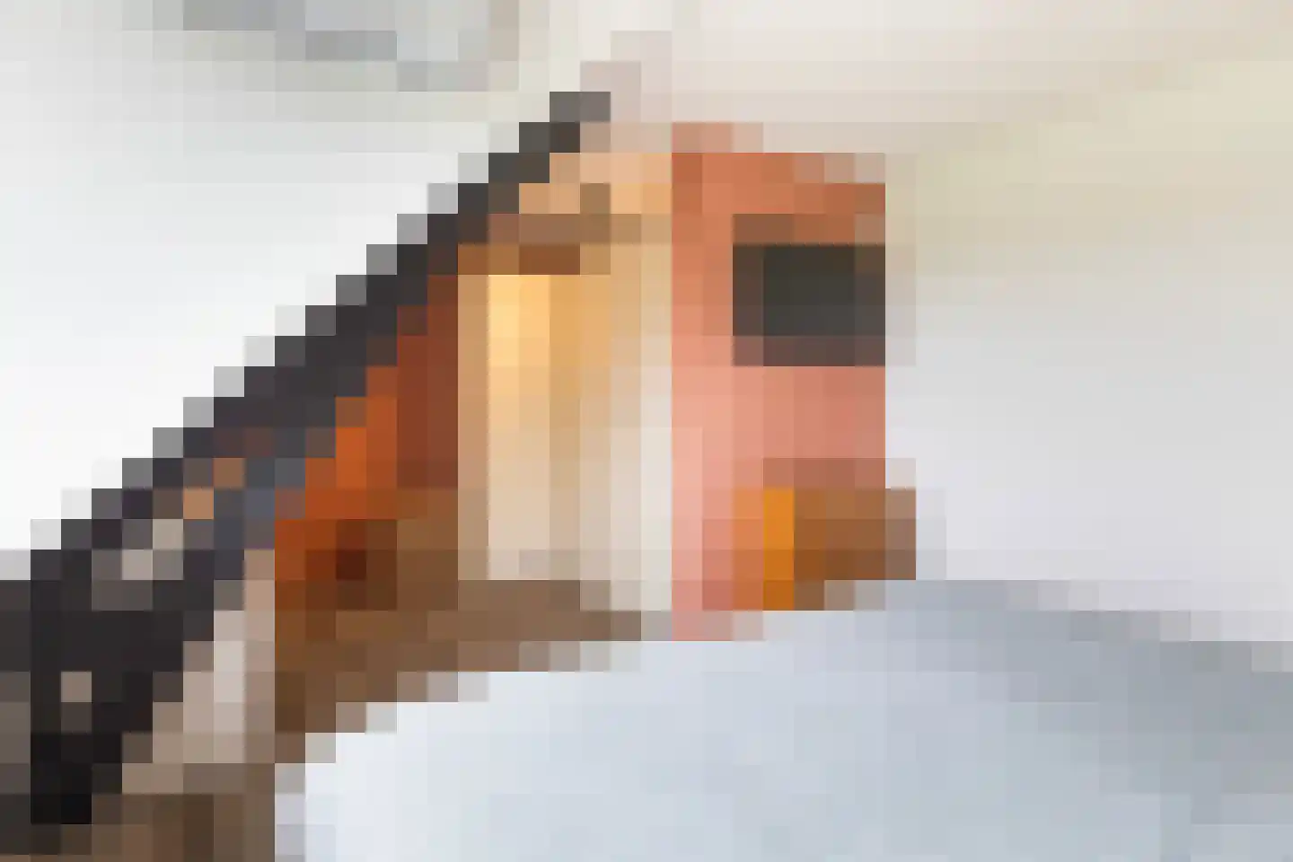 Koninginneweg 4 Numansdorp thumbnail 35