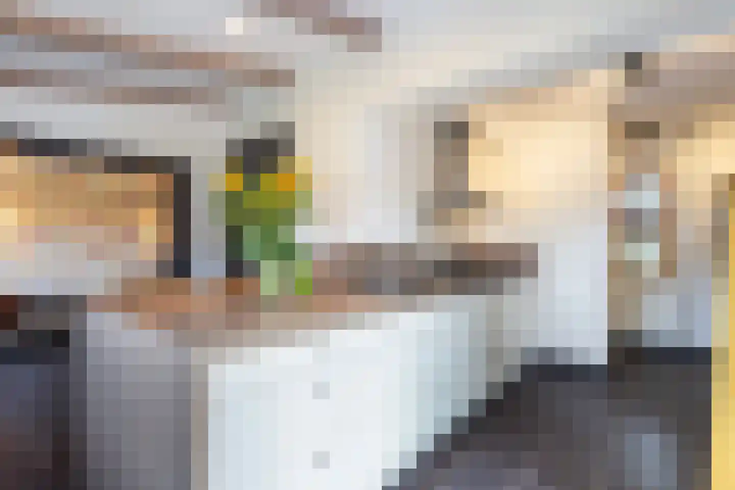 Koninginneweg 4 Numansdorp thumbnail 4