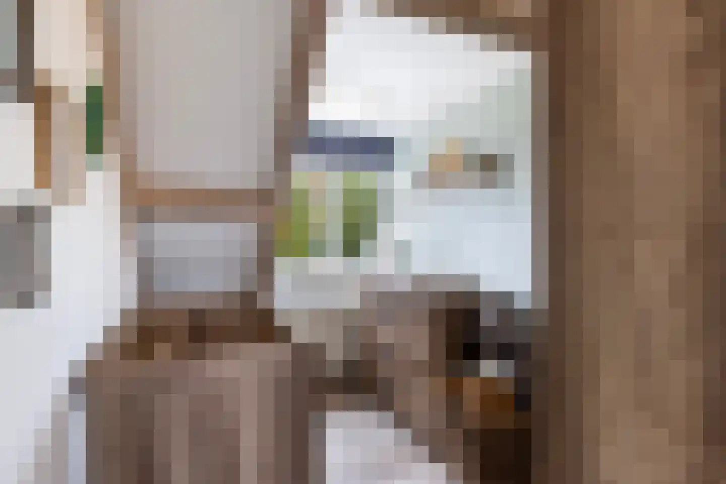 Koninginneweg 4 Numansdorp thumbnail 40