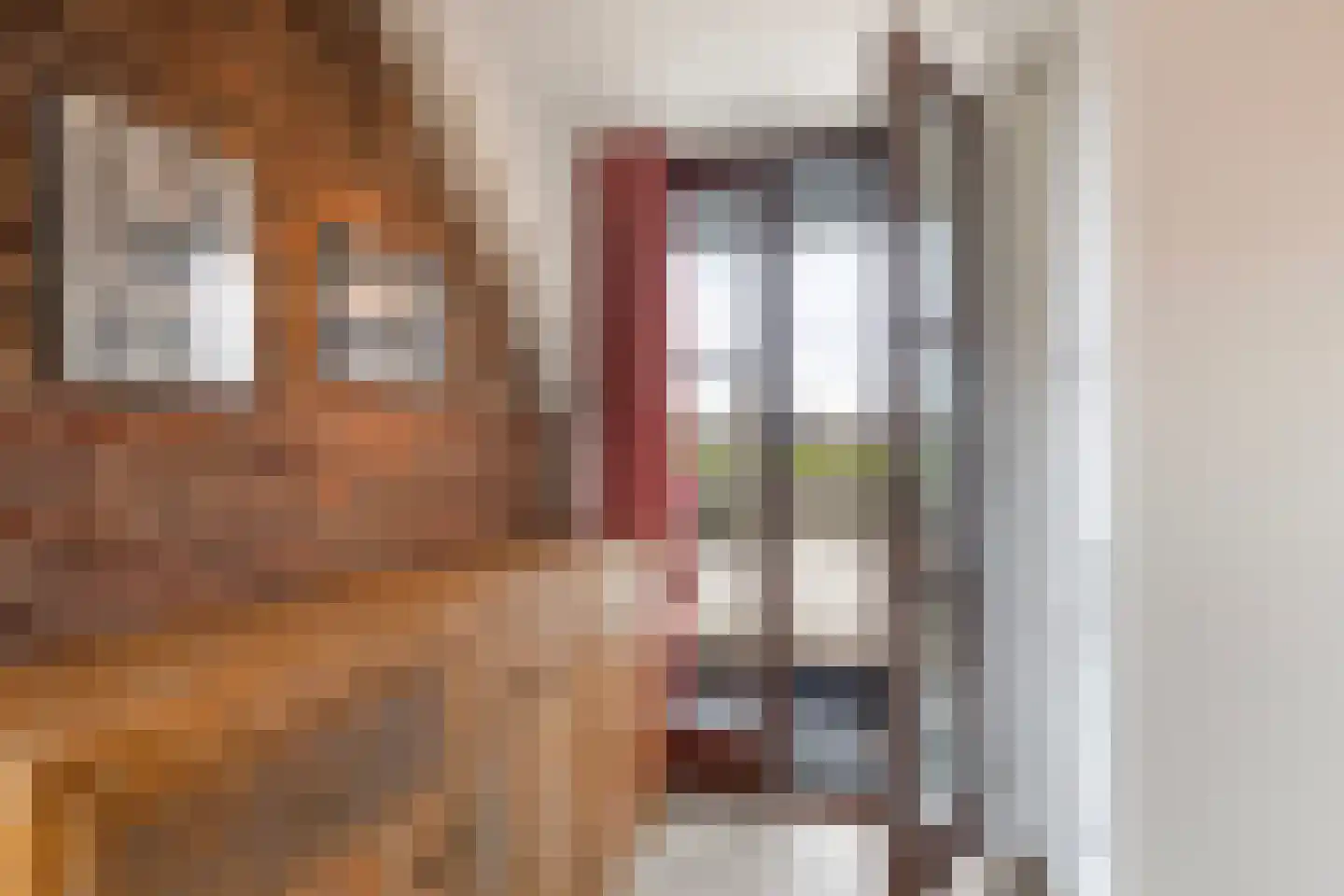 Koninginneweg 4 Numansdorp thumbnail 48