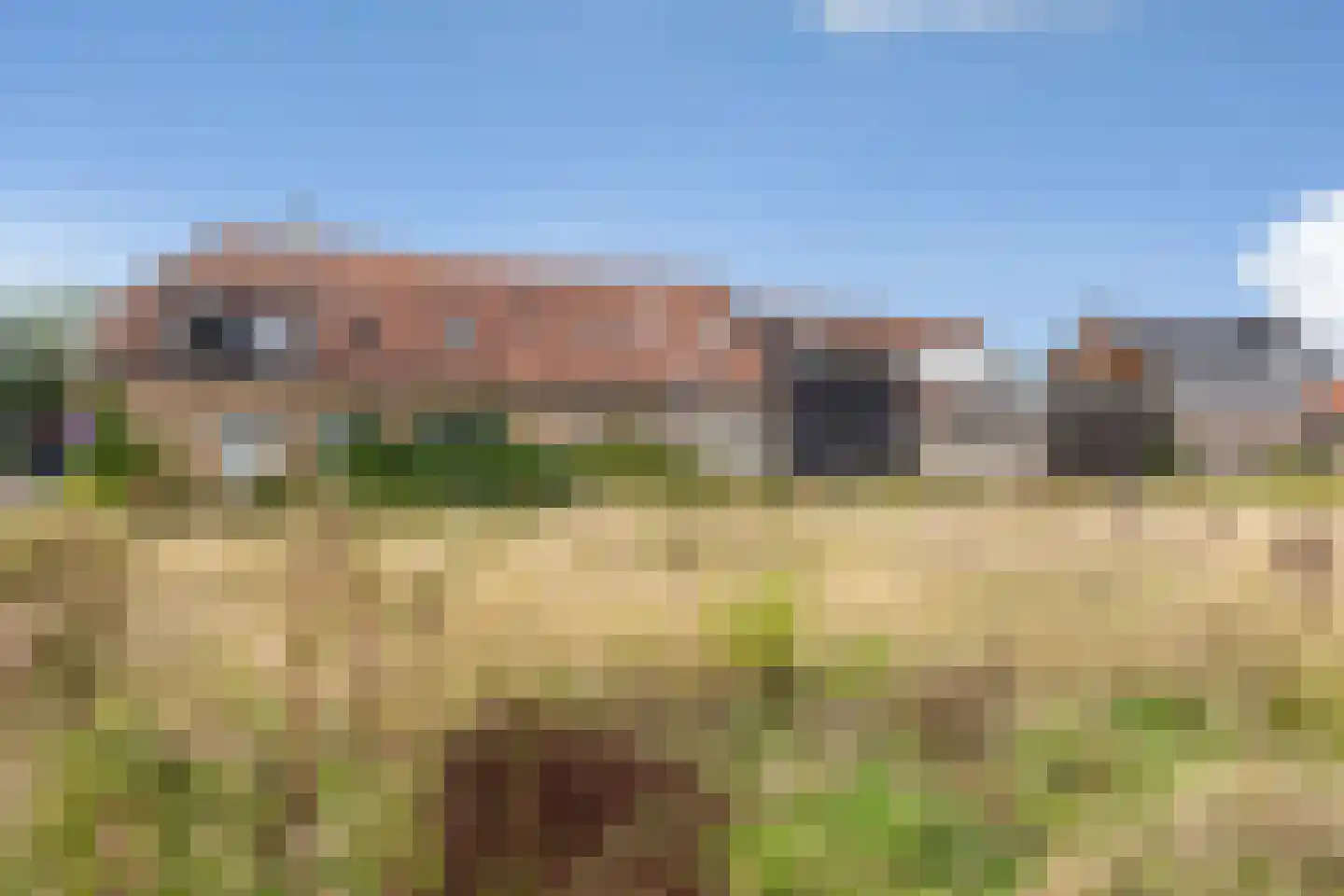 Koninginneweg 4 Numansdorp thumbnail 55