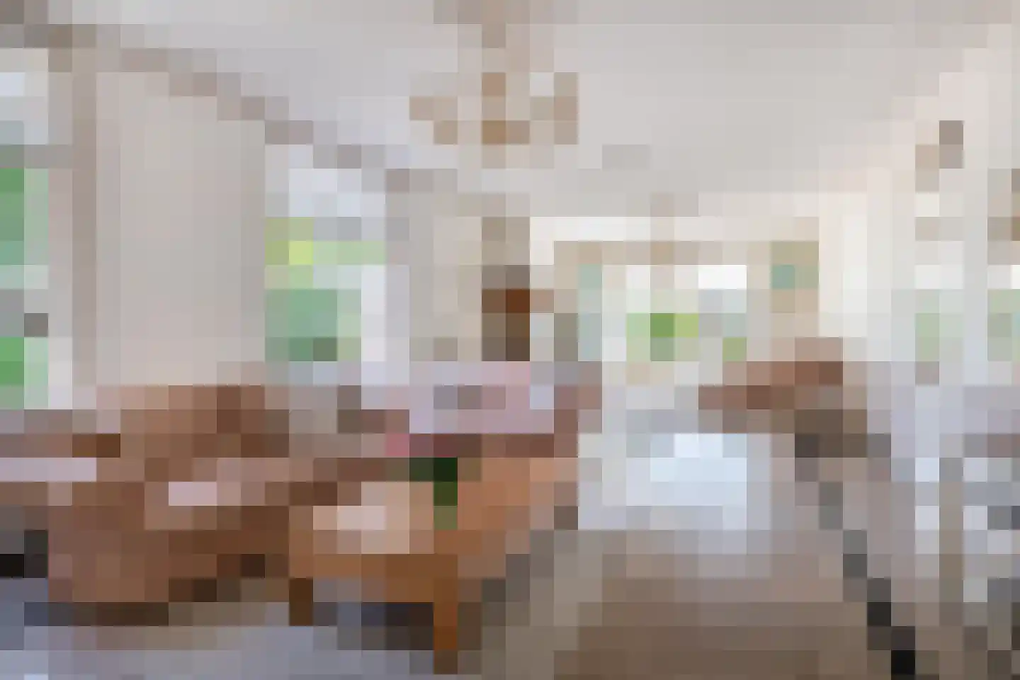 Koninginneweg 4 Rotterdam thumbnail 10