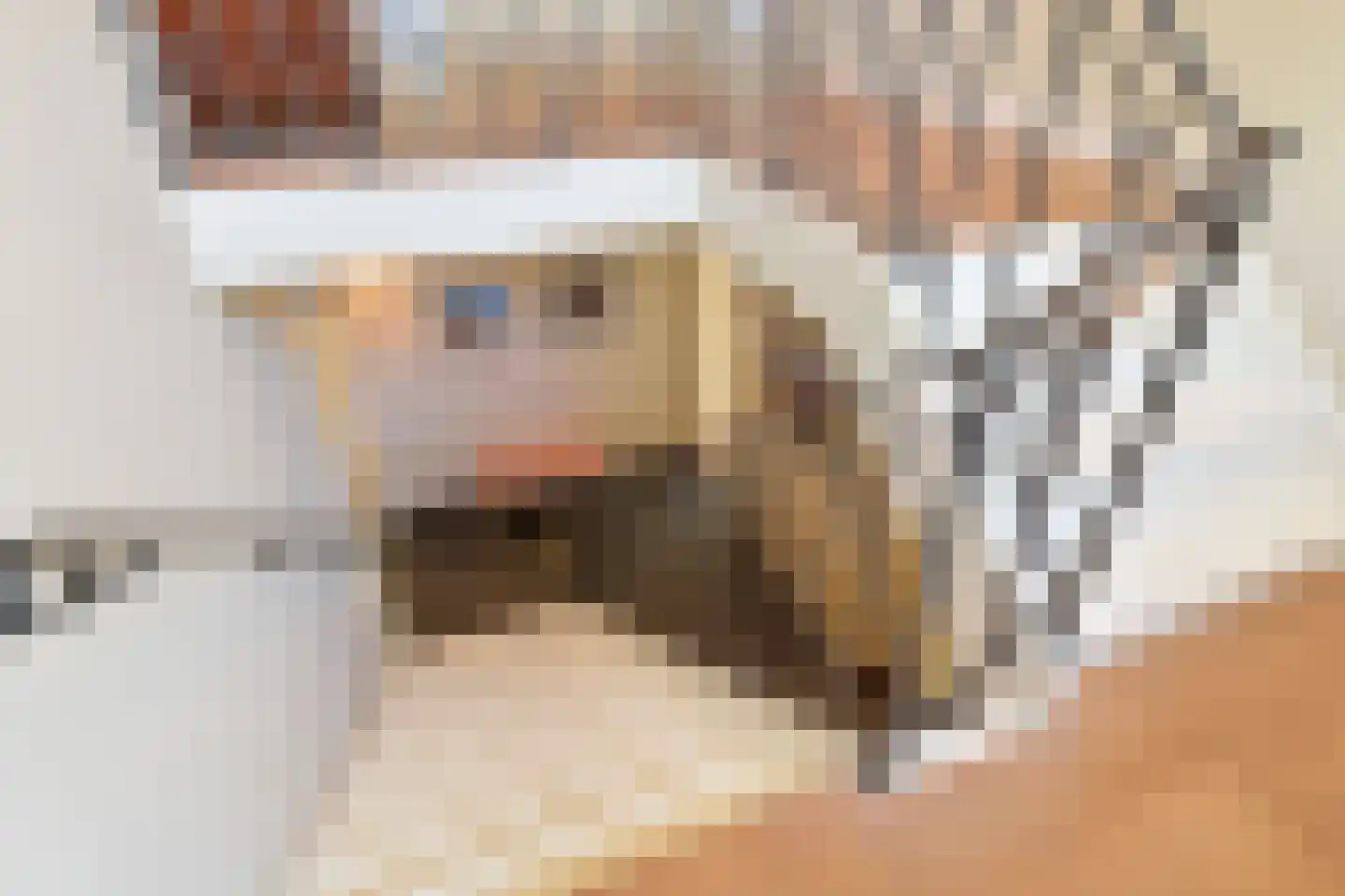 Koninginneweg 4 Wassenaar thumbnail 14