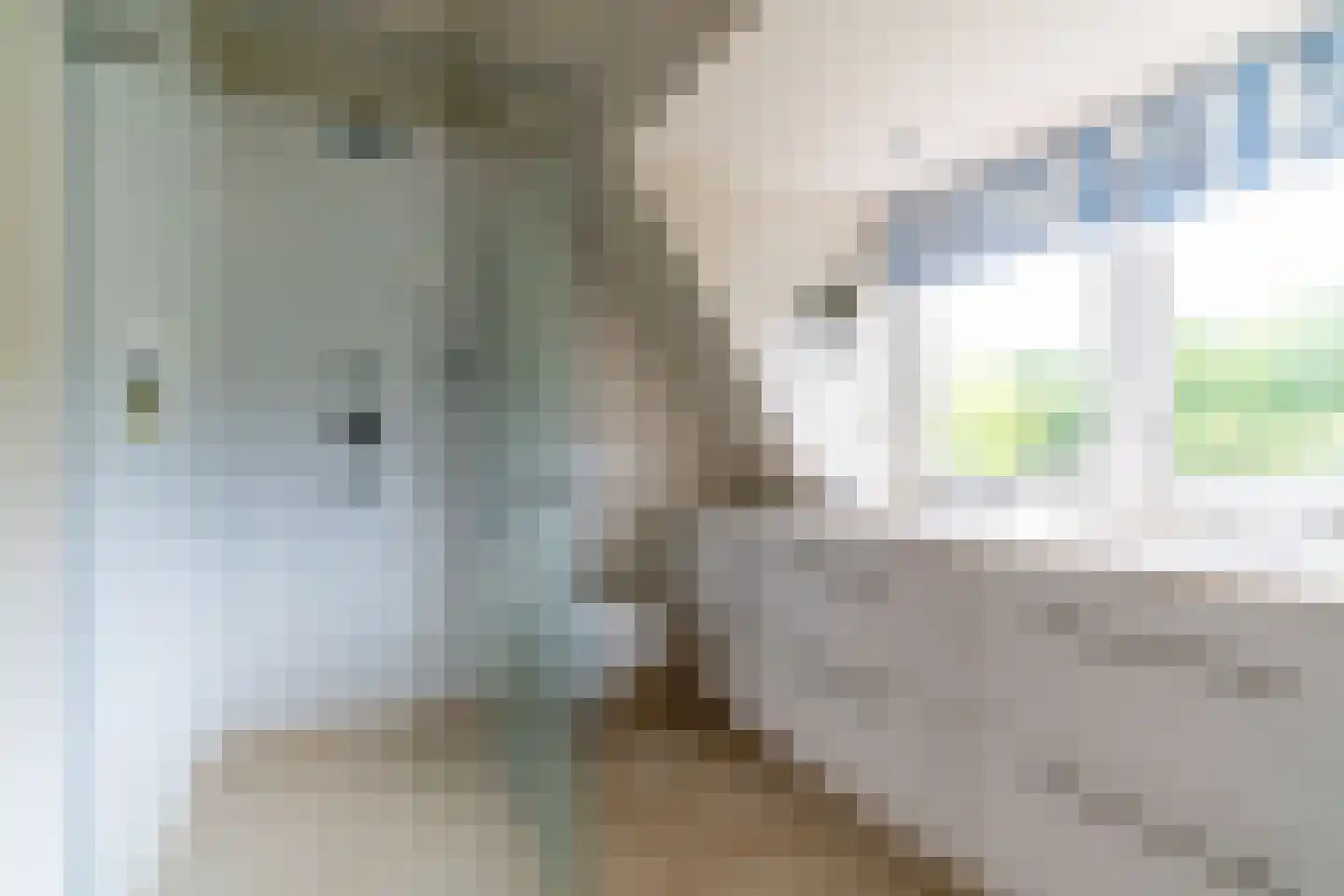 Koninginneweg 4 Wassenaar thumbnail 18