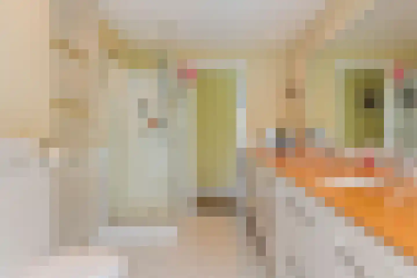 Koninginneweg 4 Wassenaar thumbnail 21