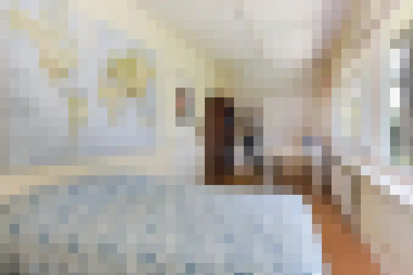 Koninginneweg 4 Wassenaar thumbnail 24