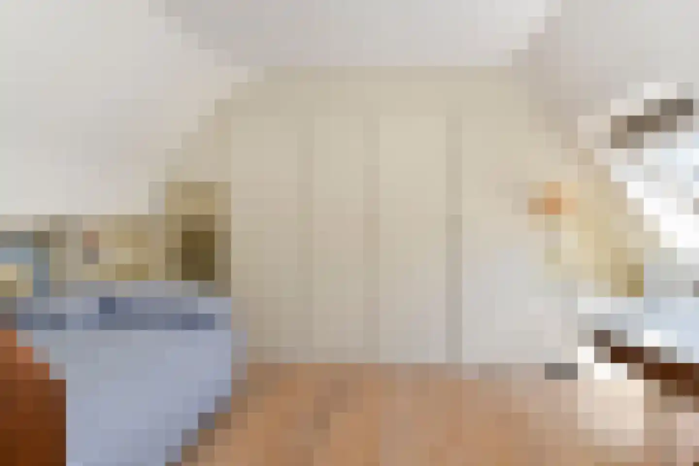 Koninginneweg 4 Wassenaar thumbnail 25