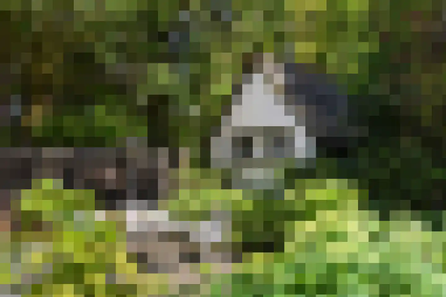Koninginneweg 4 Wassenaar thumbnail 29
