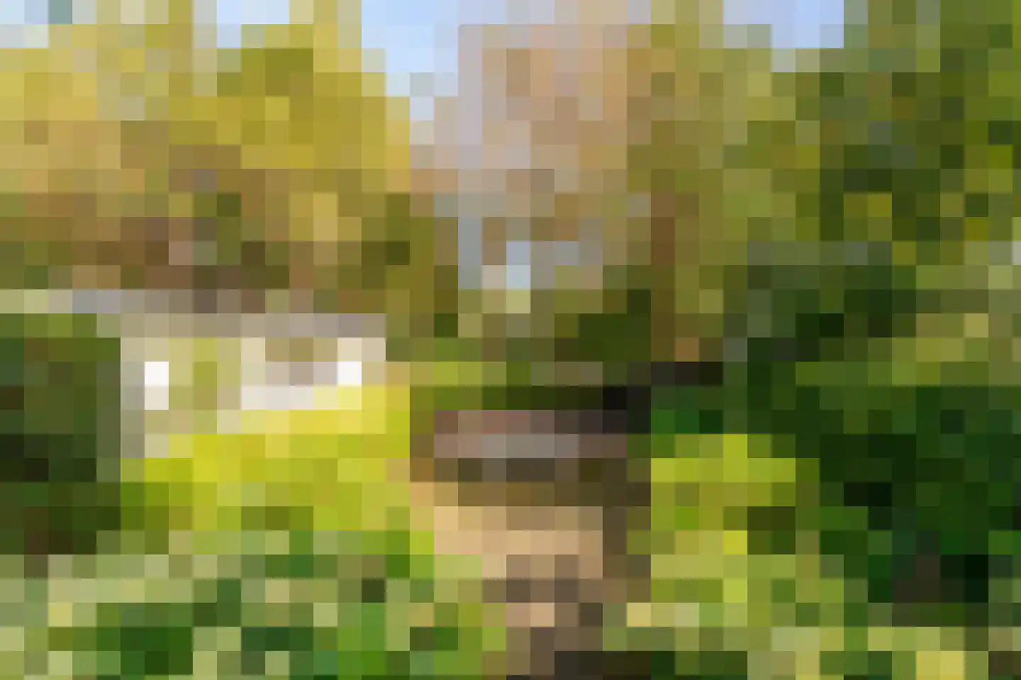 Koninginneweg 4 Wassenaar thumbnail 30
