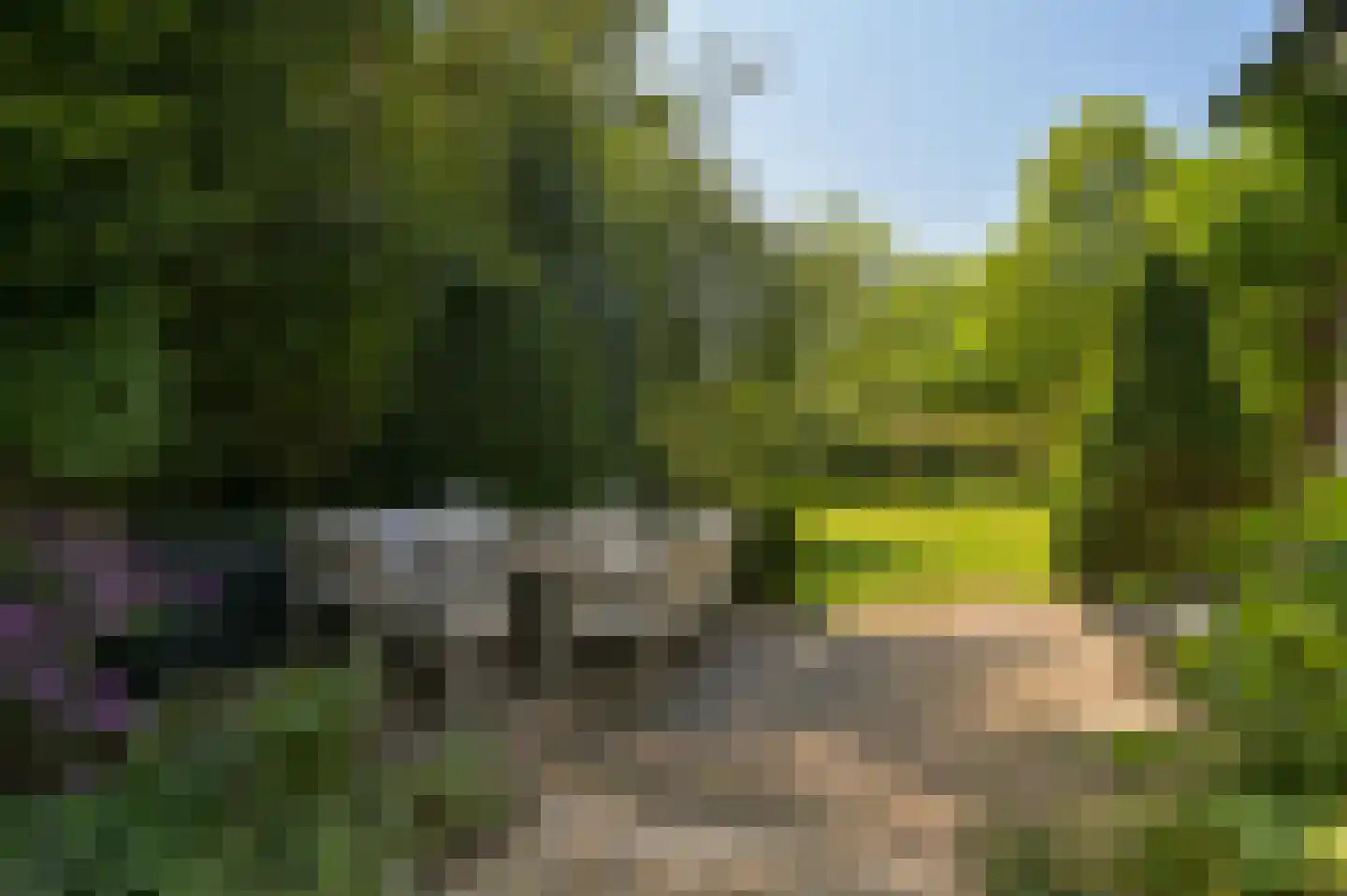 Koninginneweg 4 Wassenaar thumbnail 32