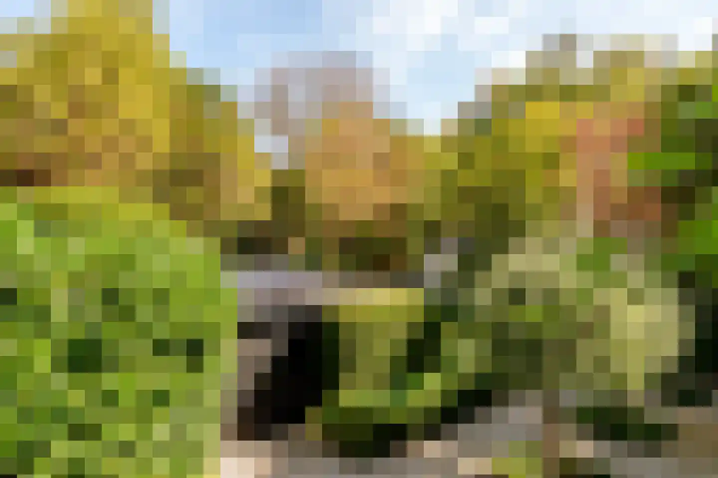 Koninginneweg 4 Wassenaar thumbnail 34