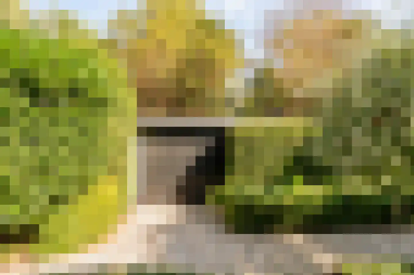 Koninginneweg 4 Wassenaar thumbnail 35