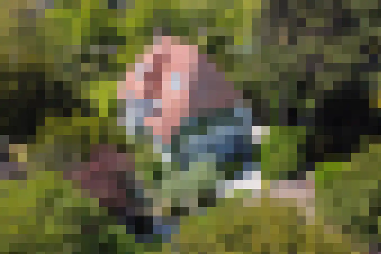 Koninginneweg 4 Wassenaar thumbnail 36