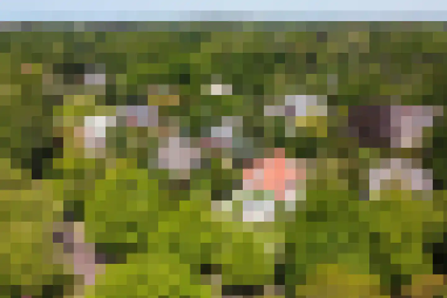 Koninginneweg 4 Wassenaar thumbnail 38