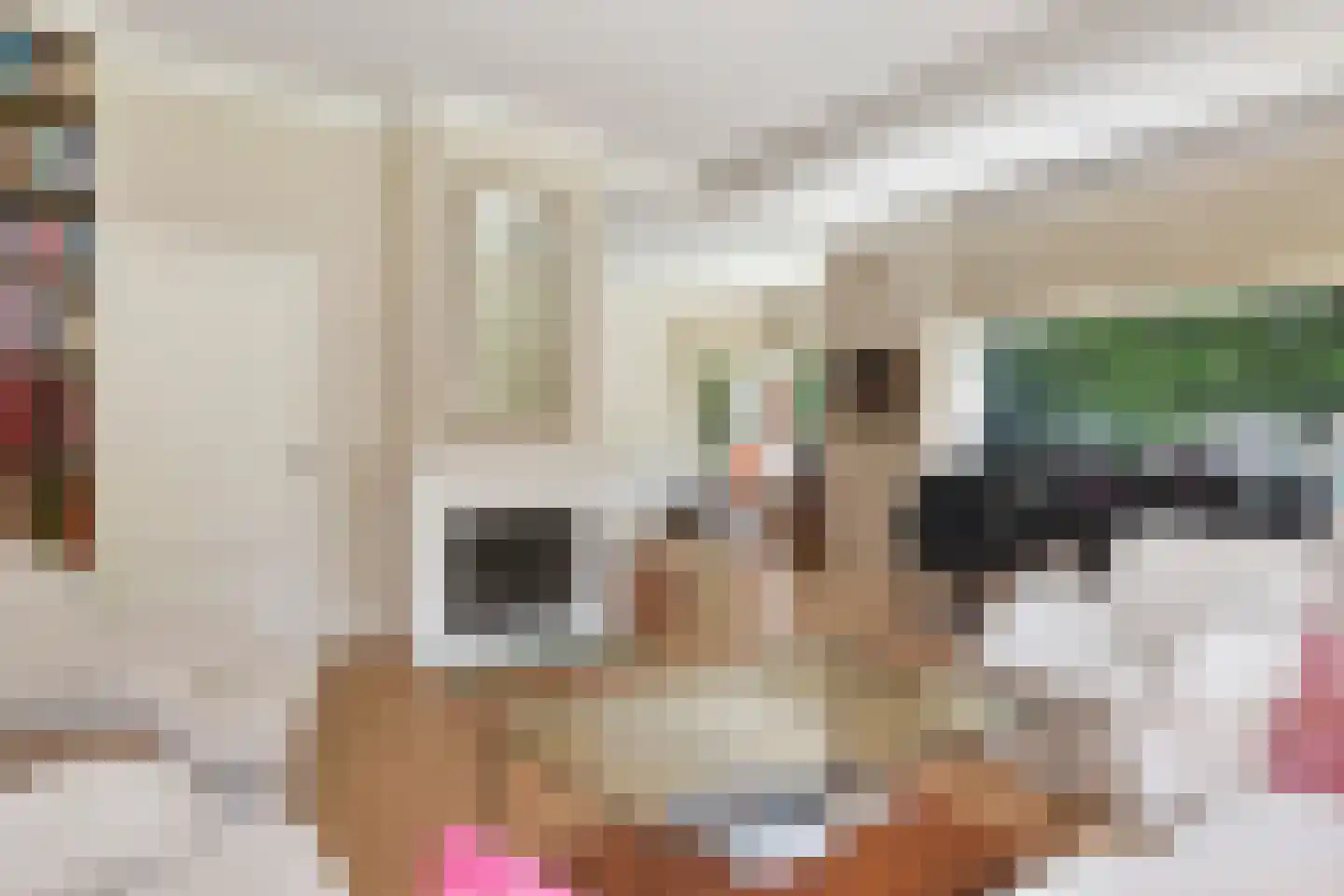 Koninginneweg 4 Wassenaar thumbnail 6