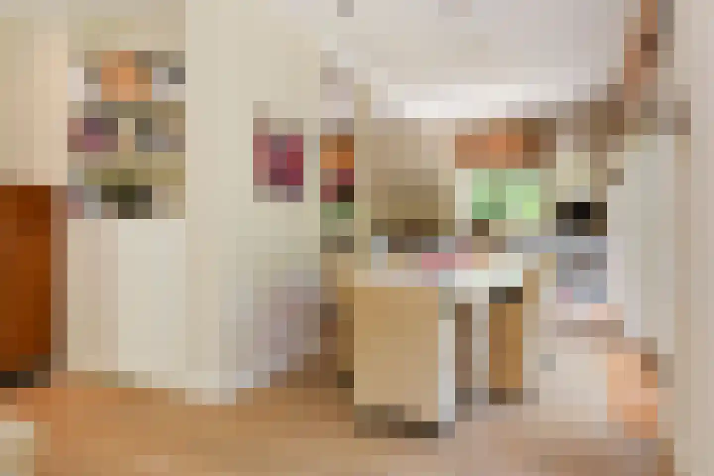 Koninginneweg 4 Wassenaar thumbnail 9