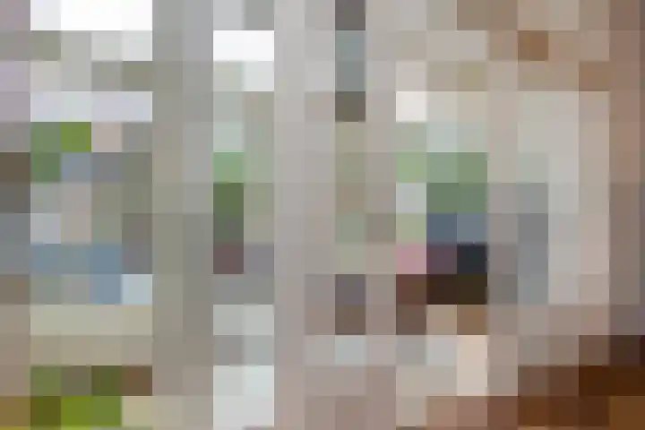 Koninginneweg 42 Haarlem thumbnail 24