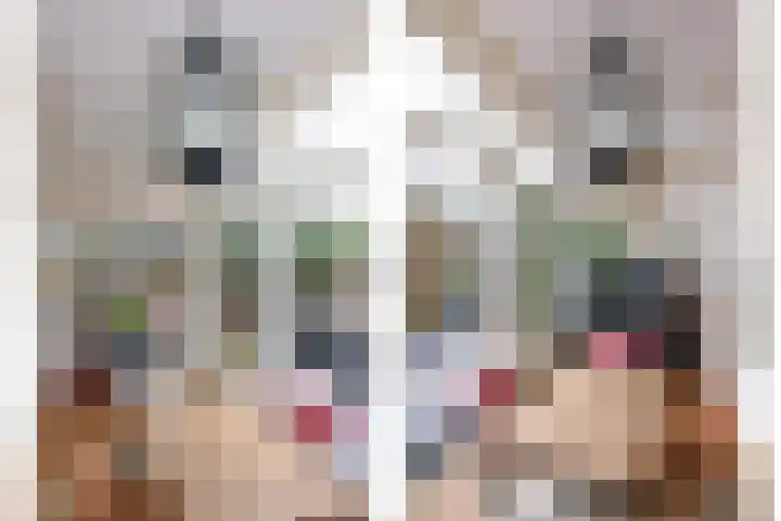 Koninginneweg 42 Haarlem thumbnail 26
