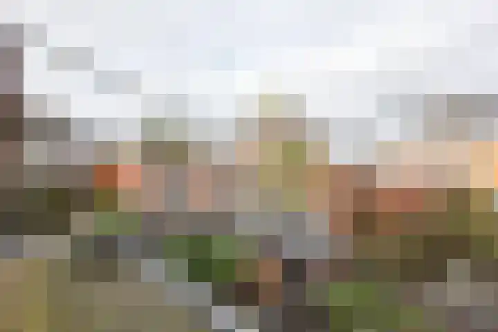 Koninginneweg 42 Haarlem thumbnail 45