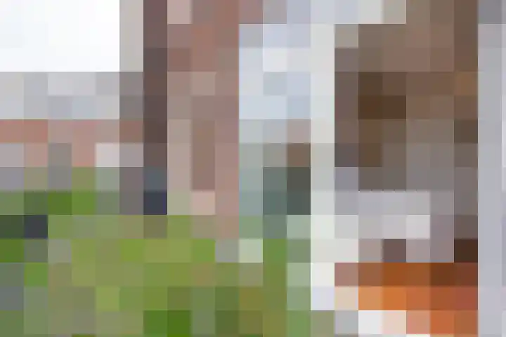 Koninginneweg 42 Haarlem thumbnail 46