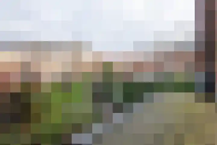 Koninginneweg 42 Haarlem thumbnail 47