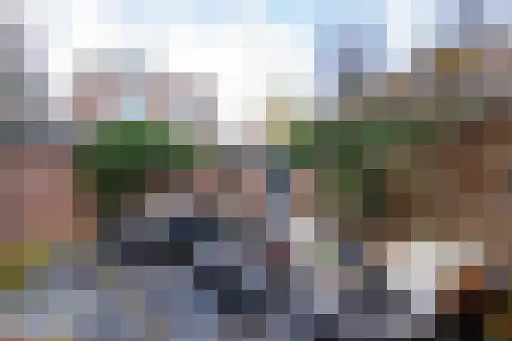 Koninginneweg 42 Haarlem thumbnail 6