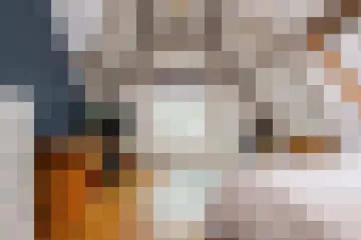 Koninginneweg 42 Haarlem thumbnail 61