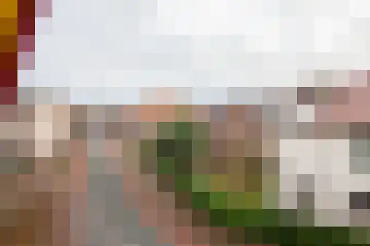 Koninginneweg 42 Haarlem thumbnail 64