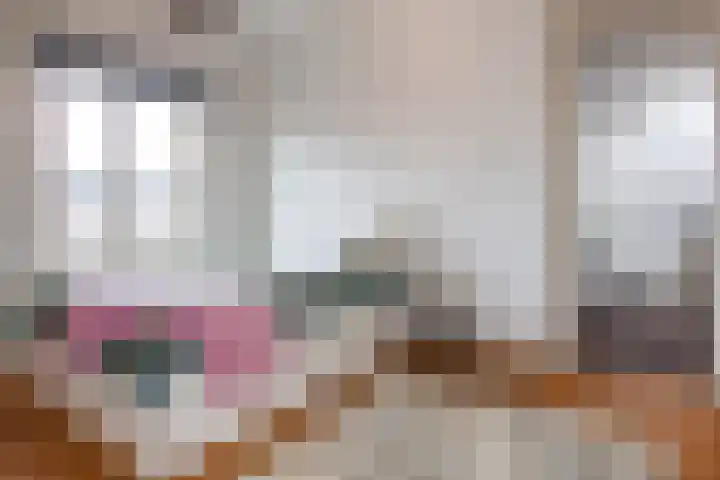 Koninginneweg 42 Haarlem thumbnail 66