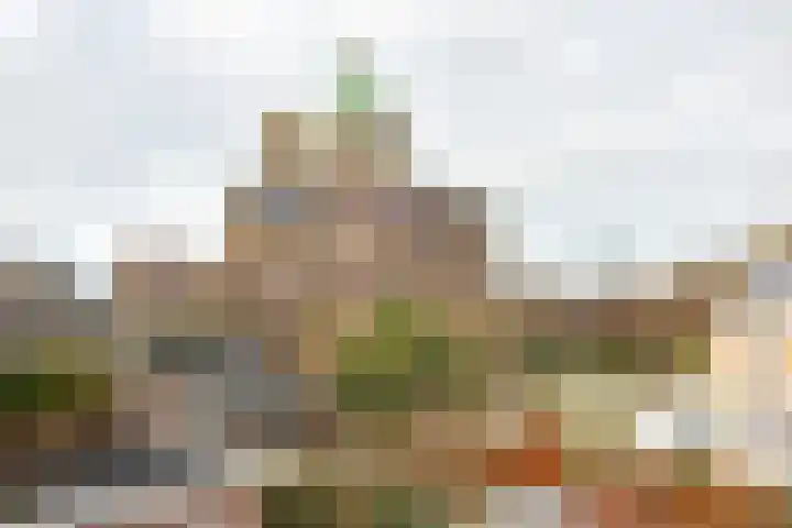 Koninginneweg 42 Haarlem thumbnail 71