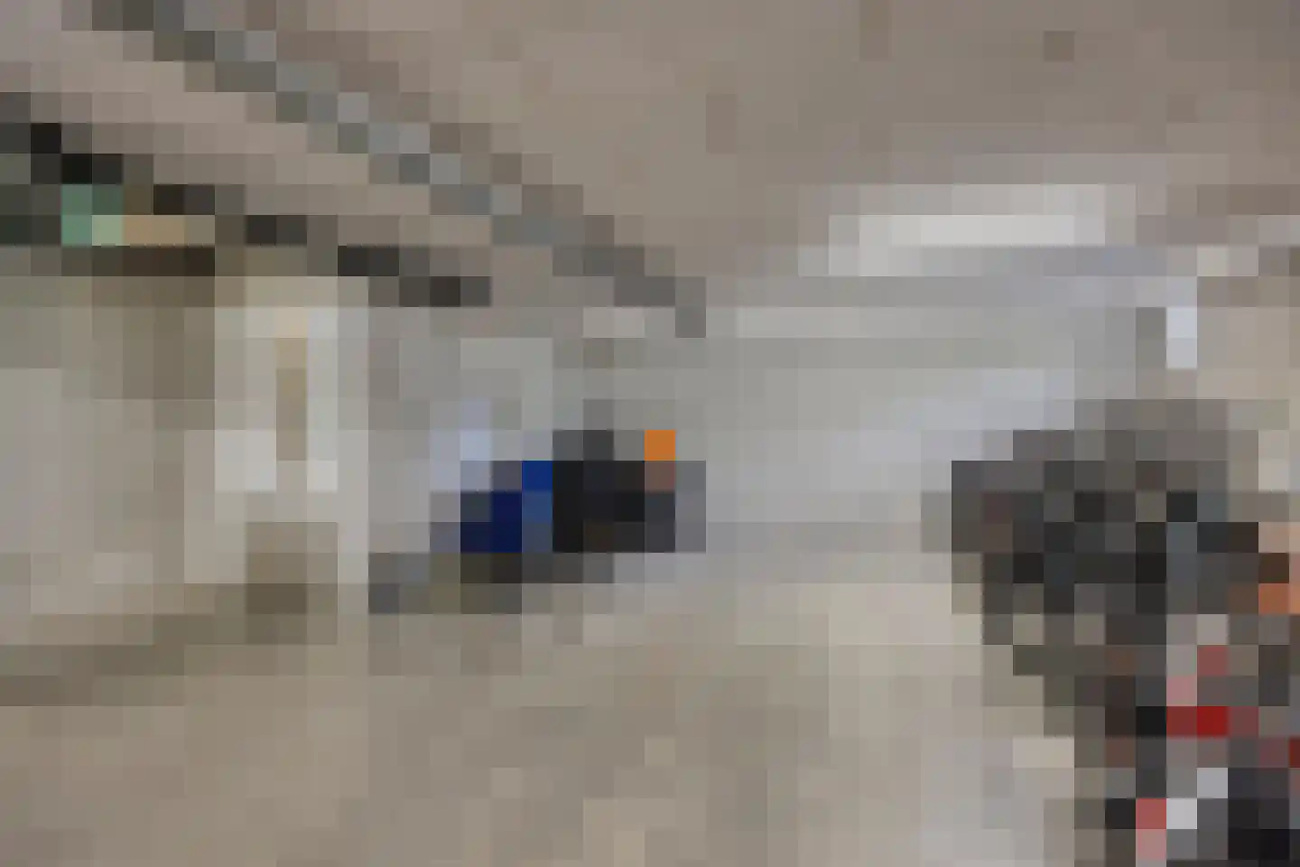 Koninginneweg 423 Bodegraven thumbnail 31