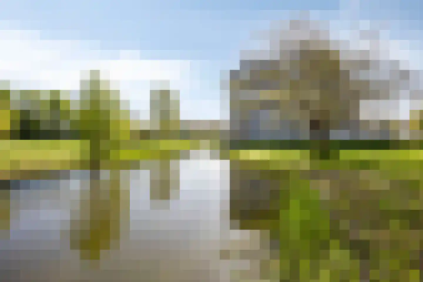 Koninginneweg 423 Bodegraven thumbnail 34